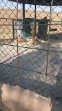 Dr Sanjay ENT Clinic ( Dr Sanjay Singh Chauhan ) — ENT in Agra, Uttar Pradesh clinic listing photo