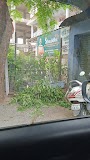 Jeena Sikho Hiims (Ranchi) Ayurveda Panchakarma Integrated Hospital — Ayurveda in Ranchi, Jharkhand clinic listing photo