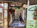Ayurvedic clinic Balance Within Health panchakarma treatment — ENT in Shillong, Meghalaya clinic listing photo
