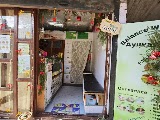 Ayurvedic clinic Balance Within Health panchakarma treatment — ENT in Shillong, Meghalaya clinic listing photo