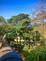 Panchakarma Hospital,Old Block — Ayurveda in Thiruvananthapuram, Kerala clinic listing photo
