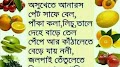 Ayursathi Ayurveda India Pvt Ltd — Ayurveda in Kolkata, West Bengal clinic listing photo
