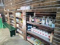 Dr Navneet Shrivastava(BHMS)Jagdamba Homeopathic clinic — Homeopathy in Leela Vihar Colony, Rajasthan clinic listing photo