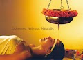 Kurias Earth Ayurveda Hospital — Ayurveda in New Delhi, Delhi clinic listing photo