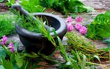 Hiv Ayurvedic Treatment — Ayurveda in Bihar, Bihar clinic listing photo