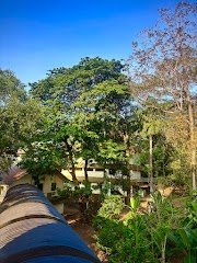 Panchakarma Hospital,Old Block — Ayurveda in Thiruvananthapuram, Kerala clinic photo on OPDIO - Smart Clinic. Smarter Care.
