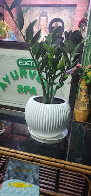 Eliete Ayurveda Spa — Ayurveda in Bhubaneswar, Odisha clinic listing photo