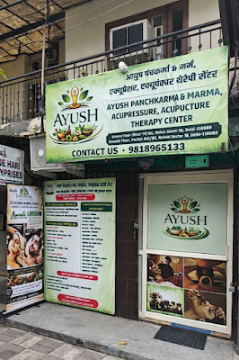 Ayush Panchakarma & Marma Acupressure Acupuncture Therapy Center LLP — ENT in Pocket 9, Delhi clinic listing photo