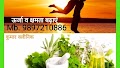Kumar Clinic — Ayurveda in Kalyan Nagar, Uttar Pradesh clinic listing photo