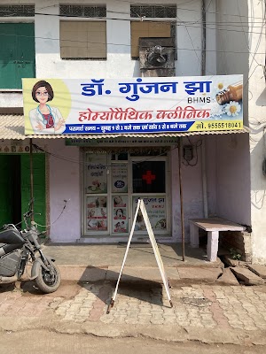 Dr Gunjan Jha Homeopathy female Doctor — Homeopathy in Nihal Ganj, Rajasthan clinic listing photo