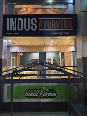 INDUS AYURVEDA — Ayurveda in Colony, Haryana clinic listing photo