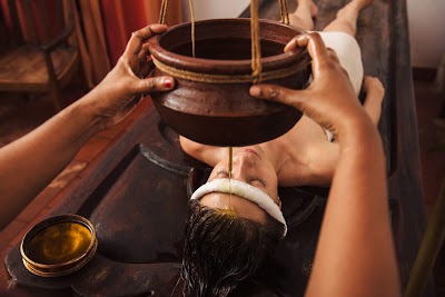 Vaidyam Ayurveda Wellness Kerala Panchkarma Treatment & Weight Loss Center — Ayurveda in Bhopal, Madhya Pradesh clinic photo on OPDIO - Smart Clinic. Smarter Care.