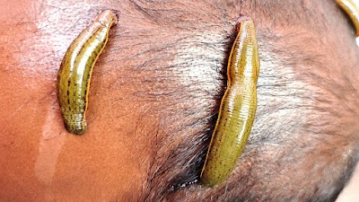 Delhi Unani Healthcare and Hijama Center — Unani in Baradari, Delhi clinic listing photo