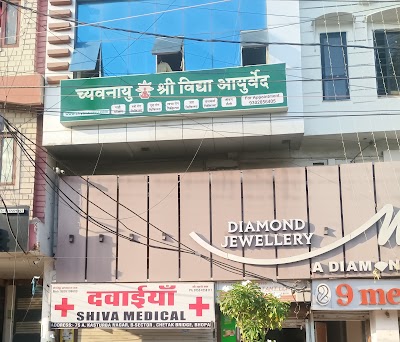 CHYAVANAAYU Shree Vidya Ayurveda — Ayurveda in Bhopal, Madhya Pradesh clinic listing photo