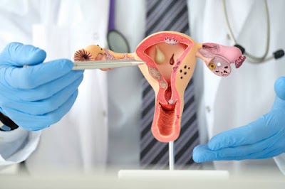 Dr. Namratha — Gynecology in Port Officers Quarters, Andhra Pradesh clinic listing photo