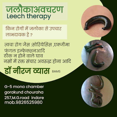 Dr.Neeraj Vyas — Ayurveda in Indore, Madhya Pradesh clinic photo on OPDIO - Smart Clinic. Smarter Care.