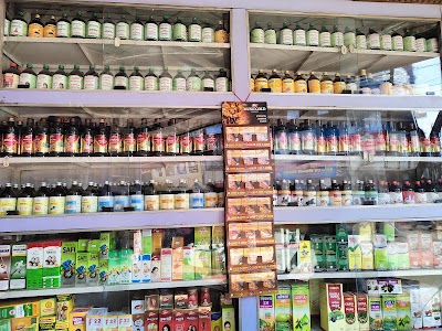 New Life Homoeo Cure — Homeopathy in Jumerati, Madhya Pradesh clinic listing photo