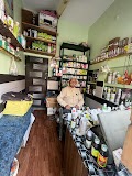 Divya Shakti Ayurvedic Aahar Visheshagya — Ayurveda in Agra, Uttar Pradesh clinic photo on OPDIO - Smart Clinic. Smarter Care.