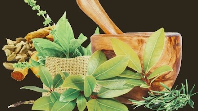 Prof Dr. H.S. Rai Ayurvedic Specialist Centre — Ayurveda in , Uttar Pradesh clinic photo on OPDIO - Smart Clinic. Smarter Care.