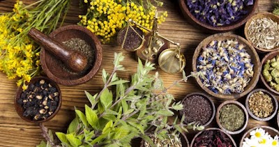 Uniherb Clinic — Ayurveda in Agra, Uttar Pradesh clinic photo on OPDIO - Smart Clinic. Smarter Care.