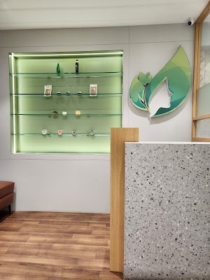 Ayurvedic Skin Clinic, Dr. Shivani Vaishnav — Ayurveda in Raipur, Chhattisgarh clinic photo on OPDIO - Smart Clinic. Smarter Care.